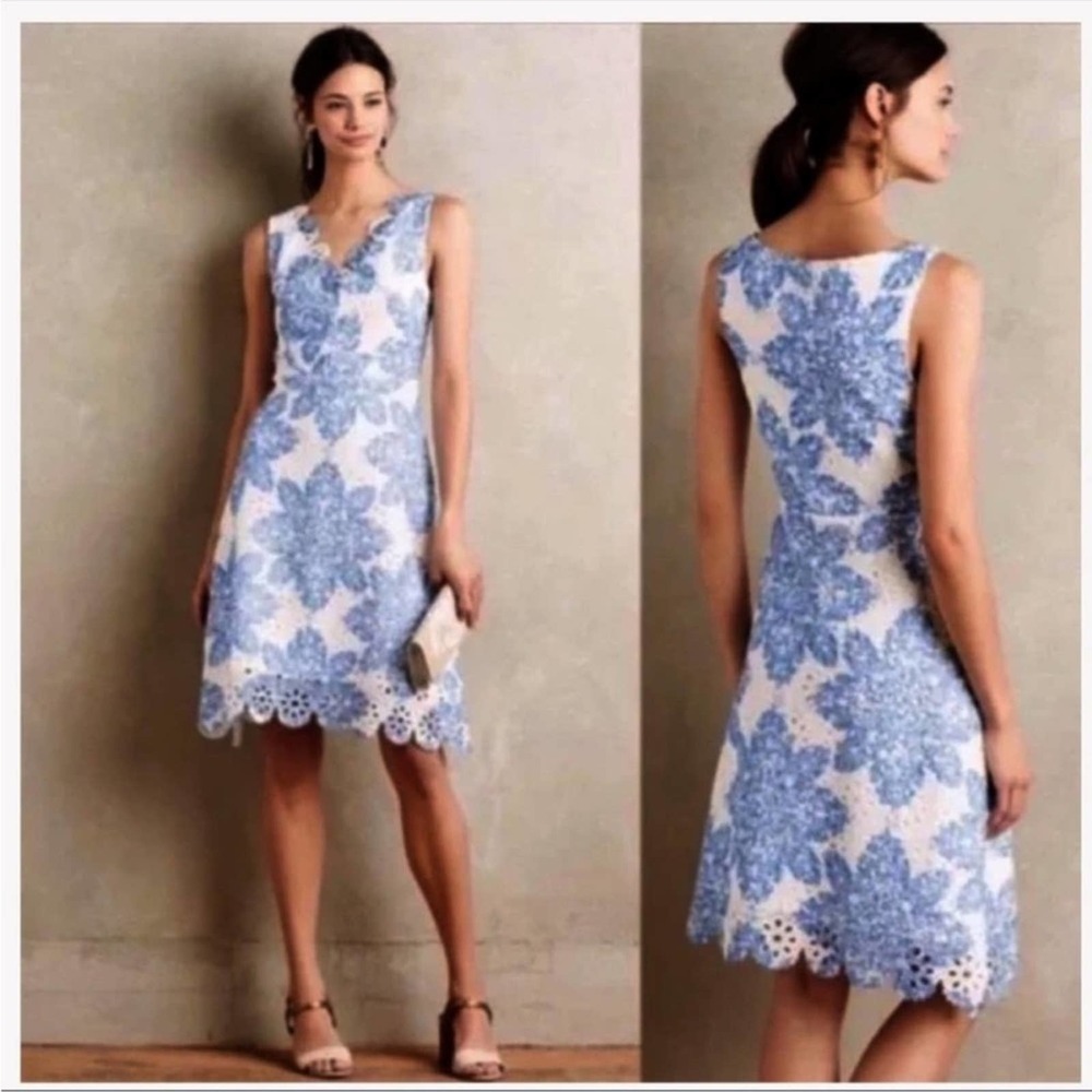 Anthropologie Eva Franco Starflower dress Size 6